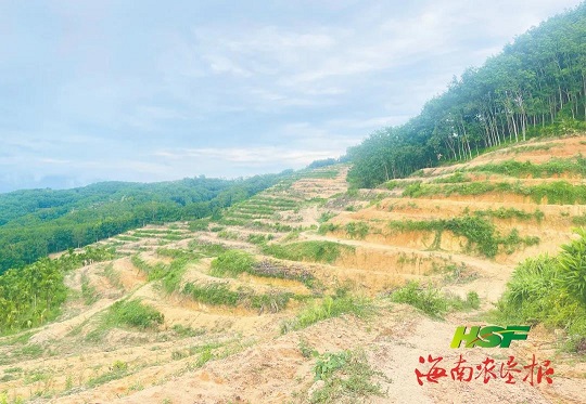 深圳展臺(tái)搭建制作公司,深圳會(huì)展設(shè)計(jì)搭建工廠,展臺(tái)設(shè)計(jì)制作
