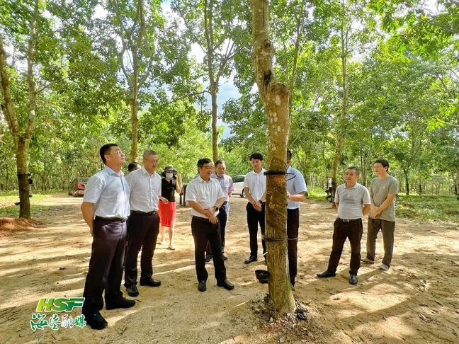 家具展設(shè)計(jì)搭建 建材展設(shè)計(jì)搭建 深圳展臺(tái)設(shè)計(jì) 廣州展臺(tái)設(shè)計(jì)搭建